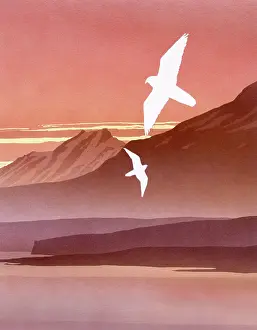 Peregrine: A sunset Fantasy landscape