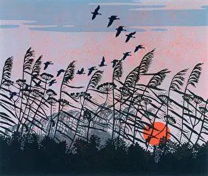 Anglia: Sunset Flight