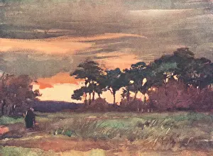Copse: Sunset Before The Storm