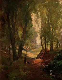 Gibbes: Sunshine, Lagan Woods