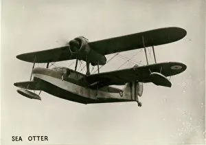 Otter: Supermarine Sea Otter