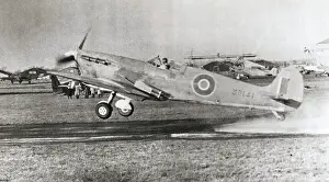 Seafires: Supermarine Seafire