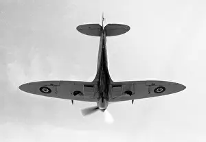 Seafire: Supermarine Seafire FR.Mk.XV