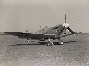 Seafire: Supermarine Seafire IB
