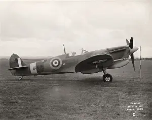 Seafire: Supermarine Seafire IB BL676