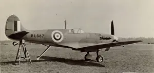Filter: Supermarine Seafire IB BL687