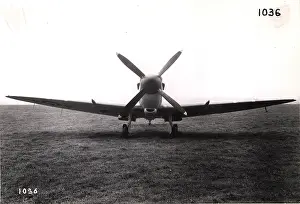Seafire: Supermarine Seafire XV
