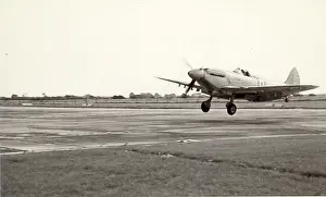 Xvii: Supermarine Seafire XVII