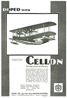 Doped: Supermarine Solents Are Doped With Cellon. G-AAAB