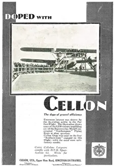Doped: Supermarine Southamptons Are Doped With Cellon