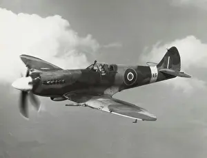 Supermarine Spitfire 14 / XIV