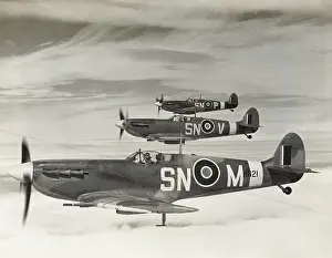 Team Work: Supermarine Spitfire 5B / VB