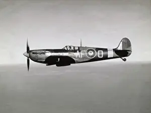 Mkvb: Supermarine Spitfire 5B / VB