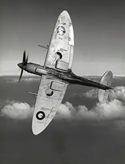 Skyscape: Supermarine Spitfire 8 / VIII