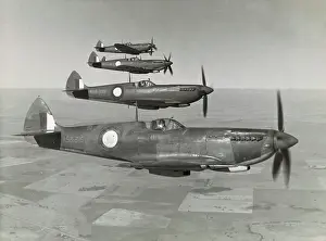 Team Work: Supermarine Spitfire 8 / VIII