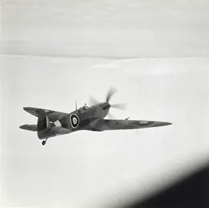 Rearview: Supermarine Spitfire 9 / IX