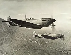 Team Work: Supermarine Spitfire 9 / IX