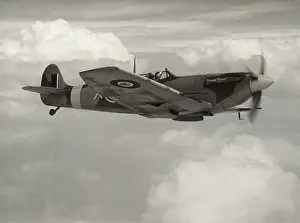 Clipped: Supermarine Spitfire LF-5B / LF-VB