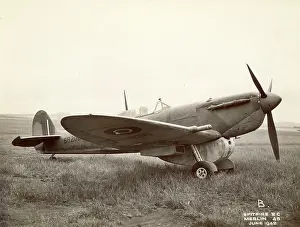 Belly: Supermarine Spitfire VC BR202