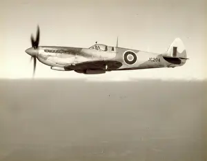 Spitfire: Supermarine Spitfire VIII, JC204