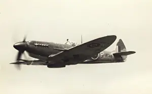Griffon: Supermarine Spitfire VIII JF318 after conversion to a XIV