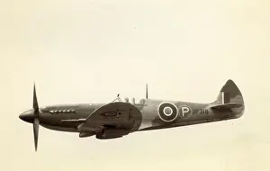 Griffon: Supermarine Spitfire VIII JF318 after conversion to a XIV