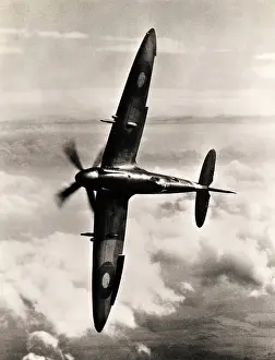 Supermarine Spitfire XIV knife-edged