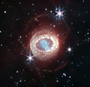 Supernova: Supernova 1987A