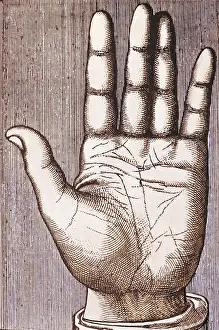 Chiromancy: superstition, chiromancy, left hand, copper engraving