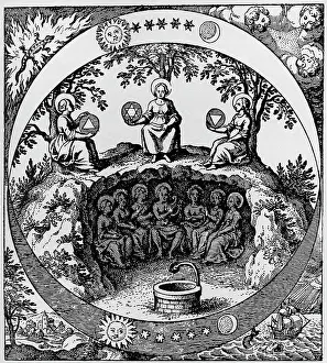 Plantes: superstition, hermeticism, seven metals in the