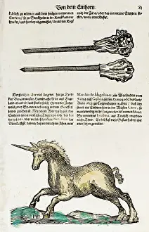 superstition, mythical creatures, unicorns, graphic