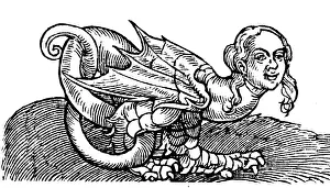 superstition, mythical creatures, dragons, Dracopopodis