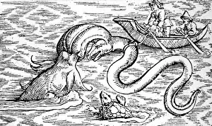 Piscium: superstition, mythical creatures, Indian hunting-fish