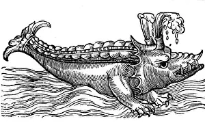 Mythical Creatures: superstition, mythical creatures, Cyfius, woodcut
