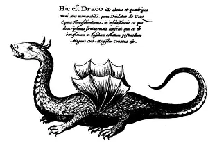 Kircher: superstition, mythical creatures, dragons, copper