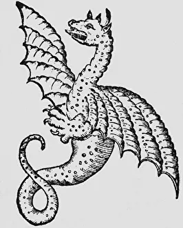 Gesner: superstition, mythical creatures, dragons, woodcut
