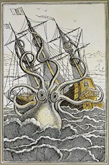 Naturelle: superstition, mythical creatures, giant squid