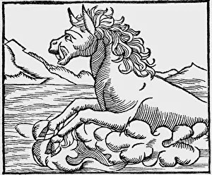 Cosmographia: superstition, mythical creatures, Hippopotamus