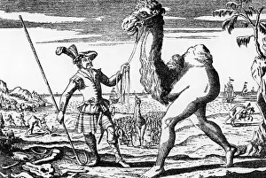 Maneater: superstition, mythical creatures, maneater of