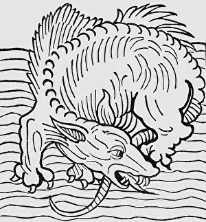 1491: superstition, mythical creatures, sea-dragon