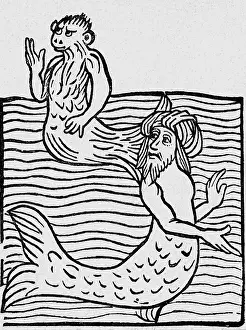 1491: superstition, mythical creatures, sea-monkey