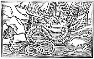 Gentibus: superstition, mythical creatures, sea serpent