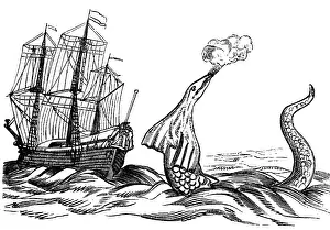 Sighted: superstition, mythical creatures, sea serpent