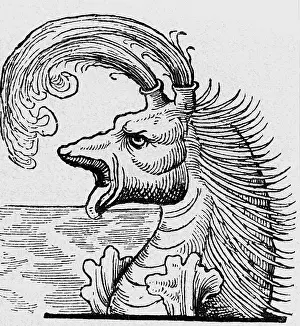 Piscium: superstition, mythical creatures, spraying or