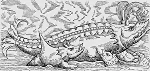 Gesner: superstition, mythical creatures, spraying wale