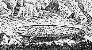 Schultes: superstition, mythical creatures, Tatzelwurm