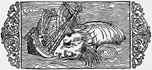 Olaus: superstition, mythical creatures, wale attacking