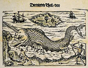 Capricorn: superstition, mythical creatures, whale with