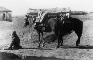 Ammunition: Supplies in the Crimea, 1941