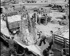 Unloaded: Supplies Being Unloaded in Naples Harbour